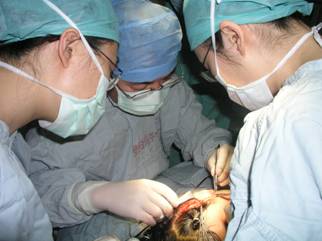 張智勇簡介 圖片1.jpg